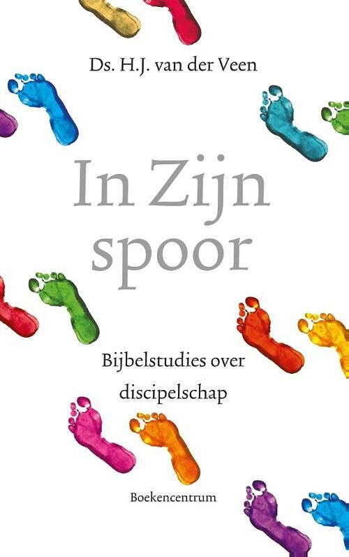 Foto van In zijn spoor - h.j. van der veen - ebook (9789023979043)