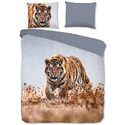 Foto van Good morning dekbedovertrek tiger 200x200 cm meerkleurig