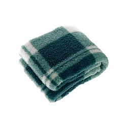 Foto van Unique living plaid guus - eveglade blauw