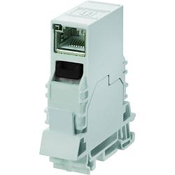 Foto van Weidmüller 8946920000-10 sensor/actuator steekconnector rj45, inbouw 10 stuk(s)