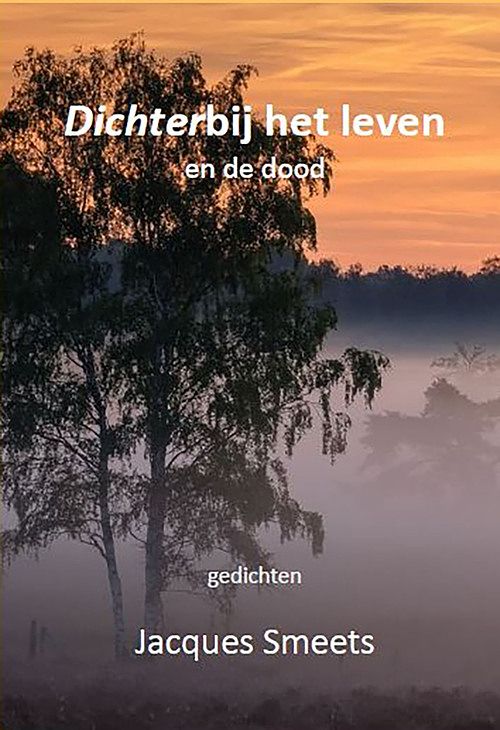 Foto van Dichterbij het leven en de dood - jacques smeets - ebook (9789462666245)