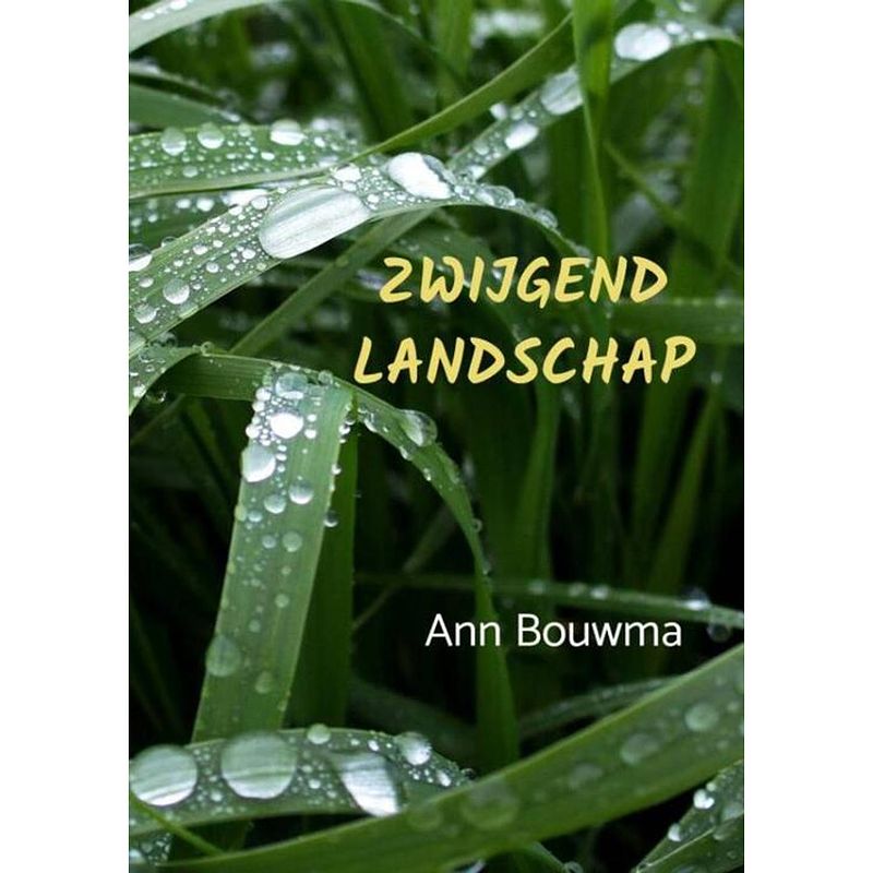 Foto van Zwijgend landschap