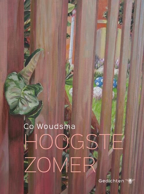 Foto van Hoogste zomer - co woudsma - ebook (9789023491309)