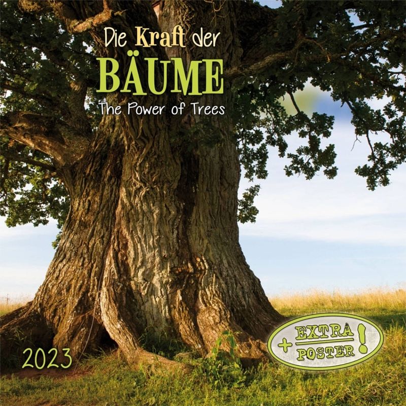 Foto van The power of trees kalender 2023