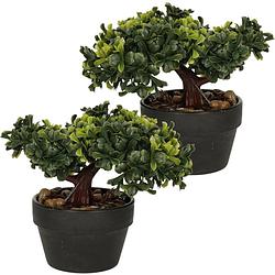 Foto van H&s collection kunstplant bonsai boompje in pot - 2x - japans decoratie - 19 cm - type bright - kunstplanten