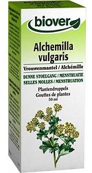 Foto van Biover alchemilla vulgaris