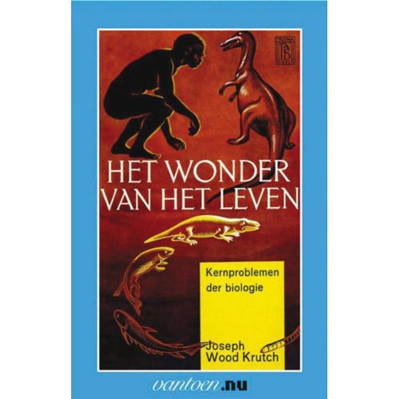 Foto van Wonder van het leven