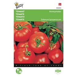 Foto van 2 stuks tomaten moneymaker