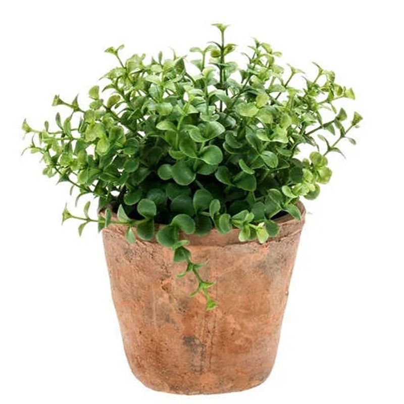 Foto van Kunstplant eucalyptus groen in oude terracotta pot 20 cm - kunstplanten