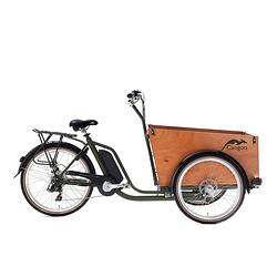 Foto van Cangoo bakfiets cangoo easy-e staal groen