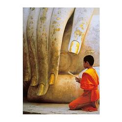 Foto van Hugh sitton - the hand of buddha kunstdruk 60x80cm