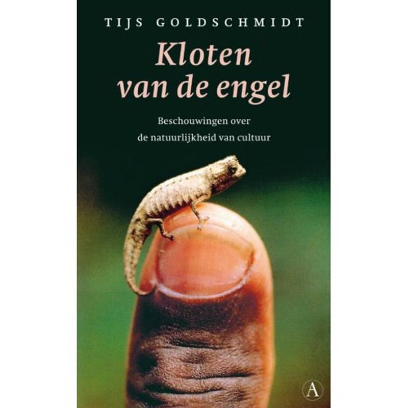 Foto van Kloten van de engel