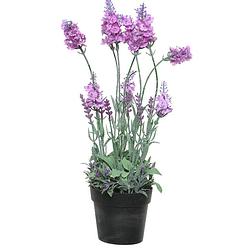 Foto van Lavendel kunstplant in pot - roze paars - d18 x h38 cm - kunstplanten