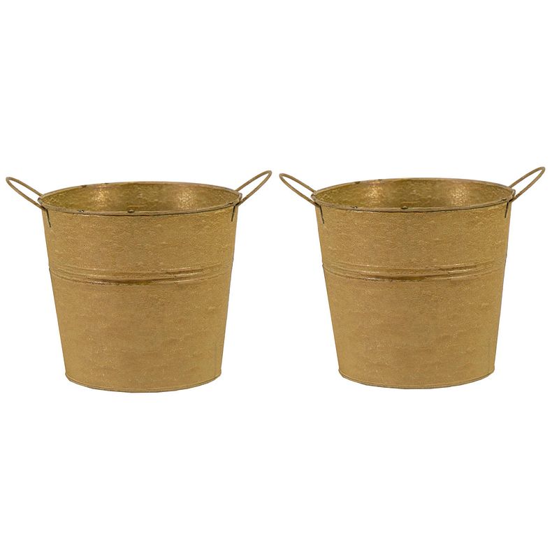 Foto van Mega collections emmer/plantenpot - 2x - zink - oud goud - d18 x h16 cm - emmers