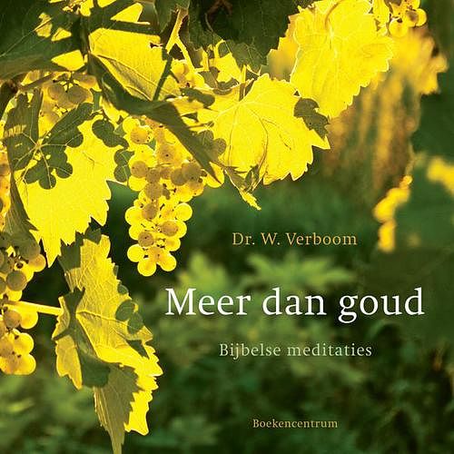 Foto van Meer dan goud - w. verboom - ebook