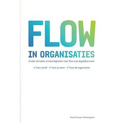 Foto van Flow in organisaties