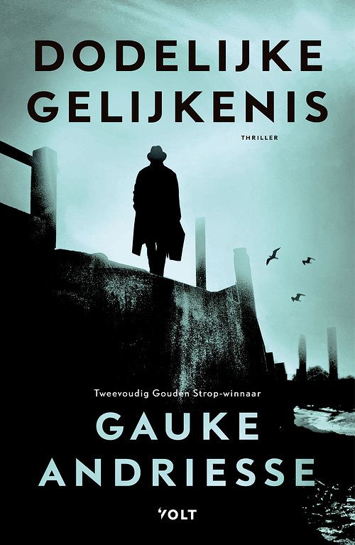 Foto van Dodelijke gelijkenis - gauke andriesse - paperback (9789021464107)