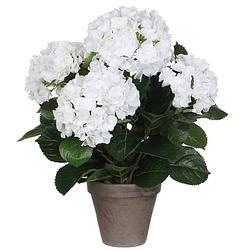 Foto van Witte hydrangea/hortensia kunstplant 45 cm in grijze pot - kunstplanten/nepplanten