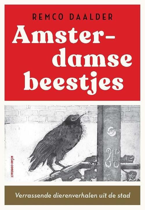 Foto van Stadse beestjes - remco daalder - hardcover (9789045048178)