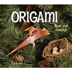 Foto van Best wel moeilijk - origami