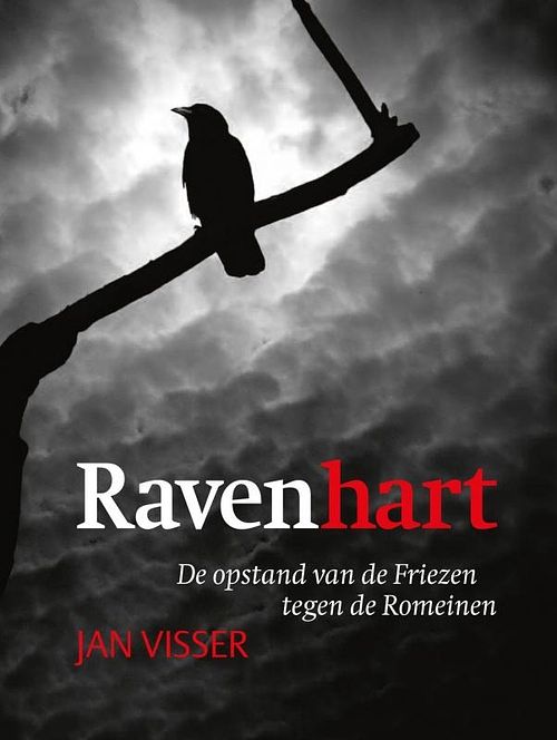 Foto van Ravenhart - jan visser - ebook