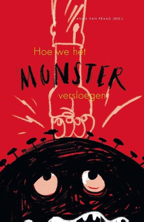 Foto van Hoe we het monster versloegen - anna van praag - hardcover (9789083063683)