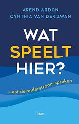 Foto van Wat speelt hier? - arend ardon, cynthia van der zwan - ebook