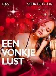 Foto van Een vonkje lust - erotisch verhaal - sofia fritzson - ebook