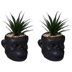 Foto van Set van 2x stuks atmosphera kunstplanten in keramische apen pot zwart 20 cm - kunstplanten