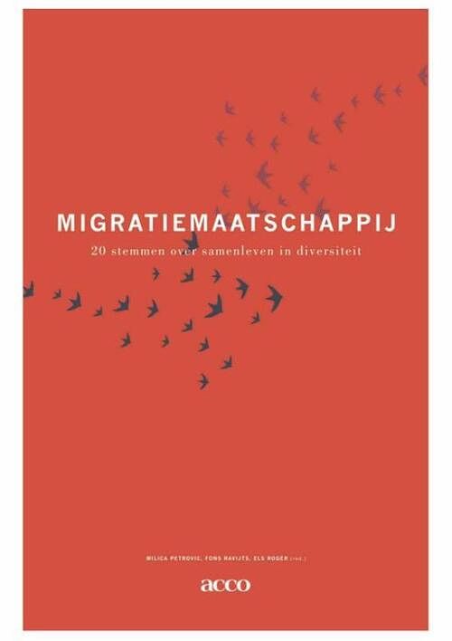 Foto van Migratiemaatschappij - ebook (9789033497506)