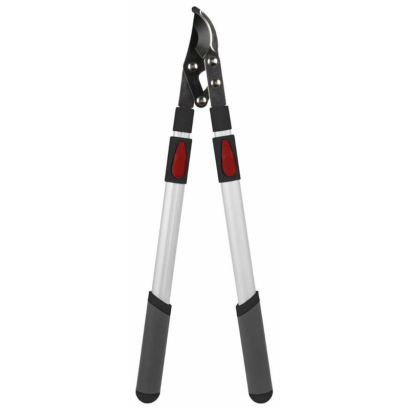 Foto van Talen tools - takkenschaar - voorbijsnijdend - telescopisch - premium - 66-99 cm