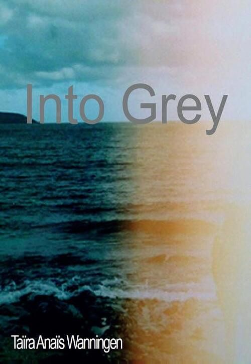 Foto van Into grey - taïra anaïs wanningen - paperback (9789492182906)