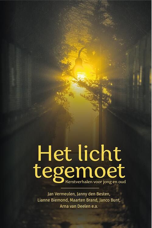 Foto van Het licht tegemoet - anita kramer - ebook (9789087188924)