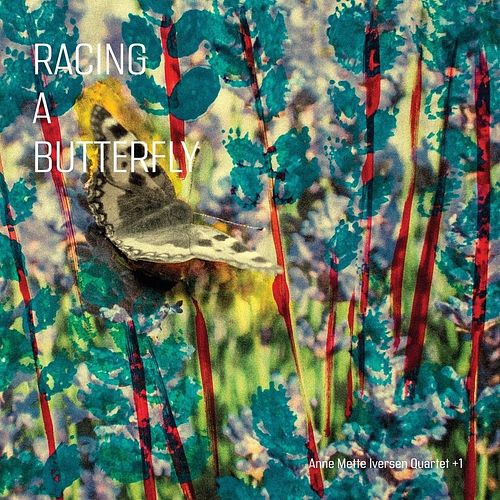 Foto van Racing a butterfly - lp (0194660423634)