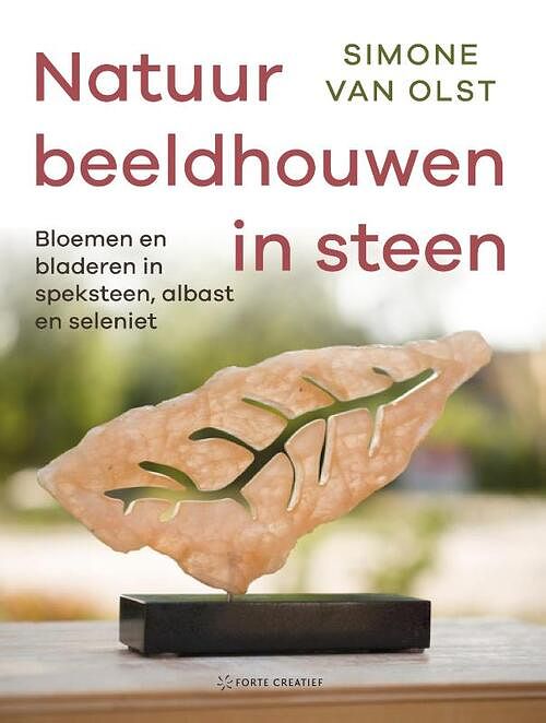 Foto van Natuur beeldhouwen in steen - simone van olst - hardcover (9789000385393)