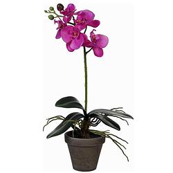 Foto van Phalaenopsis orchidee kunstplant paars in grijze pot h48 x d13 cm - kunstplanten