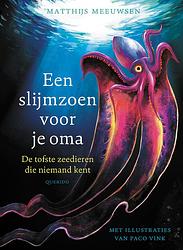 Foto van Een slijmzoen voor je oma - matthijs meeuwsen - hardcover (9789045128160)