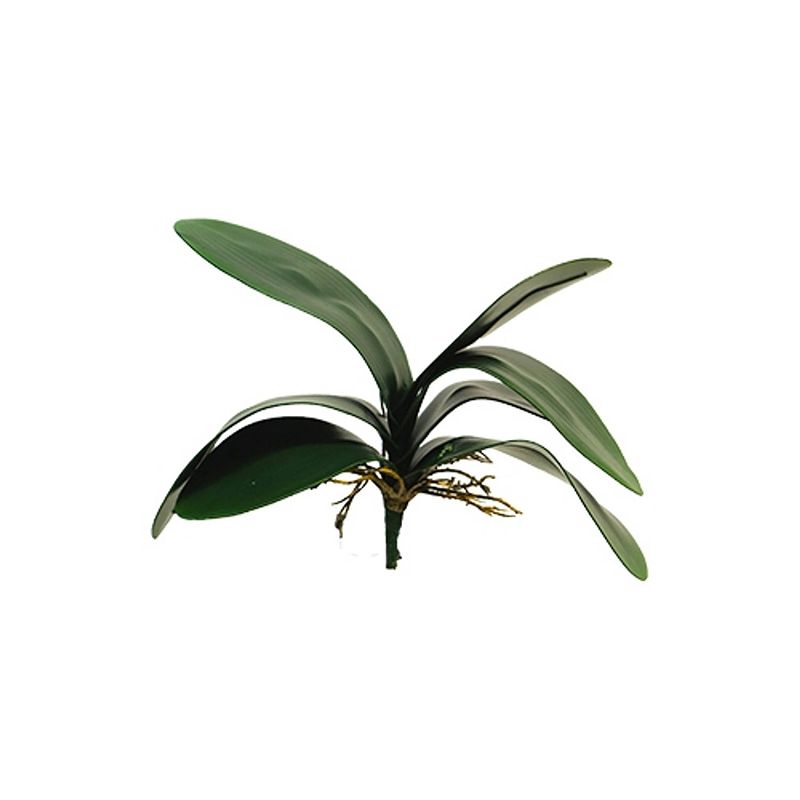 Foto van Small phalaenopsis leaves x7 lvs 29 cm kunstplant nova nature