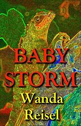 Foto van Baby storm - wanda reisel - ebook (9789025442743)