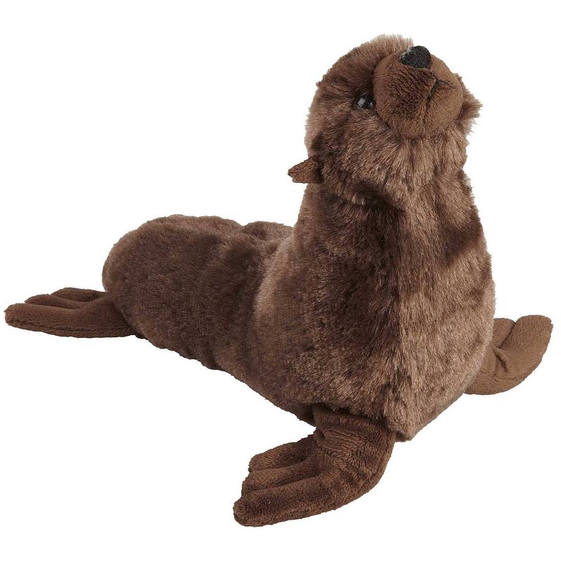 Foto van Pluche knuffel dieren zeeleeuw van 18 cm - knuffel zeedieren