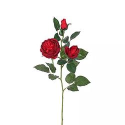 Foto van Buitengewoon de boet - engelse roos tak rood 64 cm kunstplant
