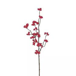 Foto van Buitengewoon de boet - bessentak rood 73 cm kunstplant