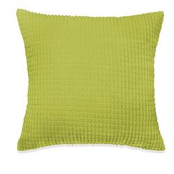 Foto van The living store kussen groen - 60 x 60 cm - velours stof - inclusief vulling