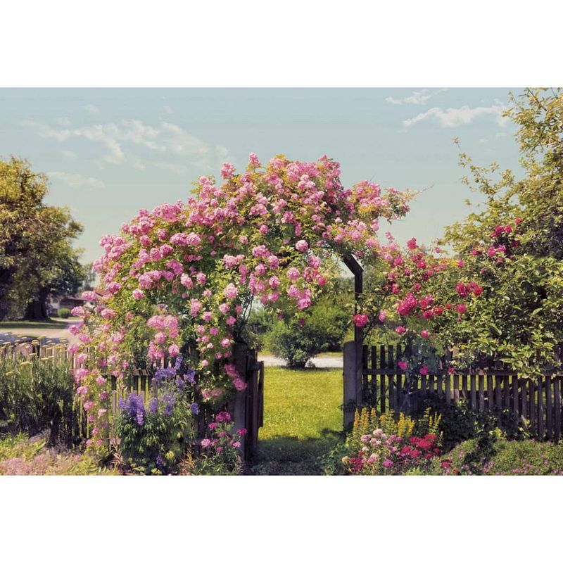 Foto van Komar rose garden fotobehang 368x254cm 8-delen