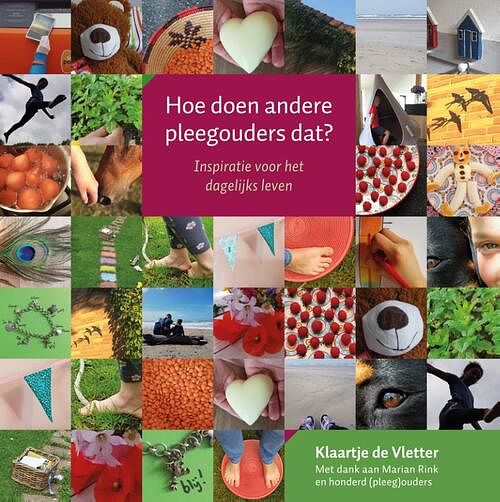 Foto van Hoe doen andere pleegouders dat? - klaartje de vletter - paperback (9789085601678)