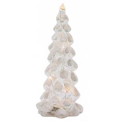 Foto van Peha kerstboom led 13 x 30 cm glas transparant/wit