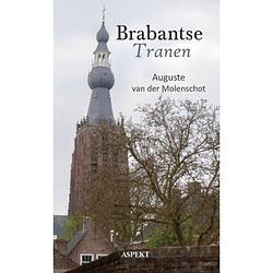 Foto van Brabantse tranen