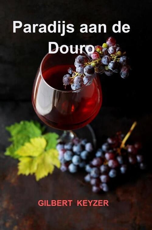 Foto van Paradijs aan de douro - gilbert keyzer - paperback (9789464489125)