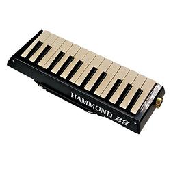Foto van Hammond bas melodion pro-24b mond-orgel 24h met 2 microfoons