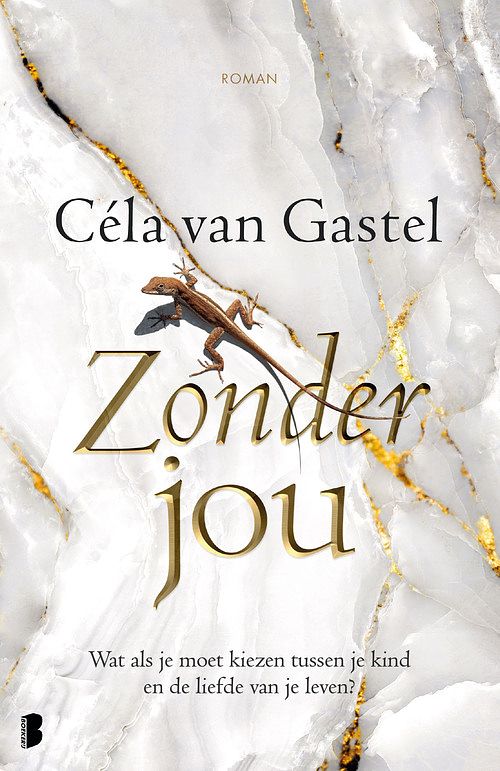 Foto van Zonder jou - céla van gastel - ebook (9789402317428)